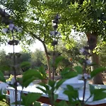 Bozelia 4* توروني