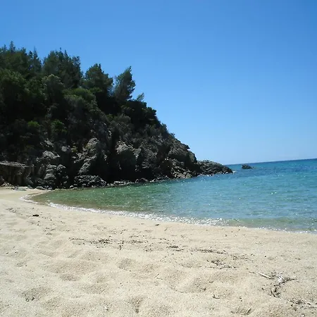 Bozelia Toróni