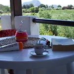Bozelia