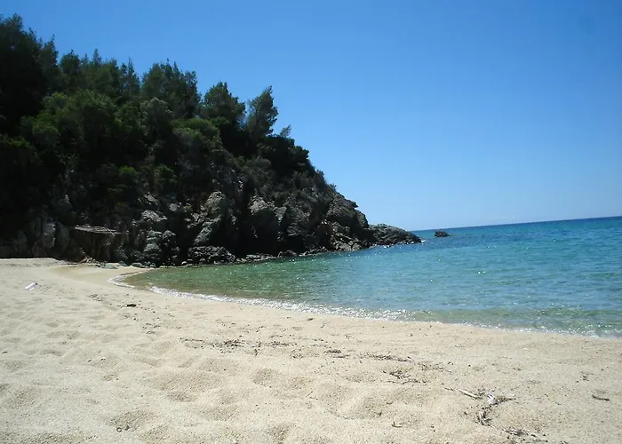 Bozelia Торони